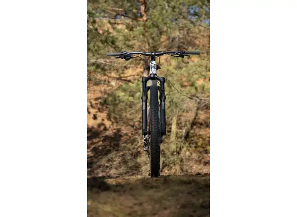 Rock Machine Blizz Cr 70 Mountainbike Gloss Limerock Grey