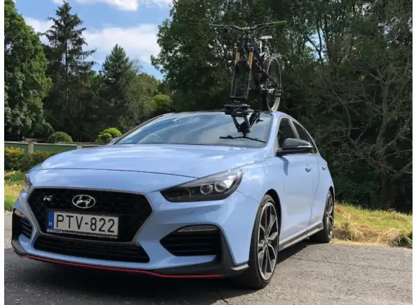 TreeFrog Pro 1 Dachträger für Gabeln.