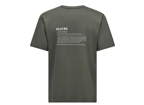 Salewa Eagle Vocab Herren T-Shirt Kurzarm Faded Green