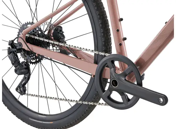Liv Thrive GX Fitnessrad von Petra Clay.