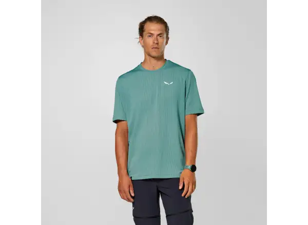 Salewa Pedroc Dry Light Herren T-Shirt Kurzarm Willow