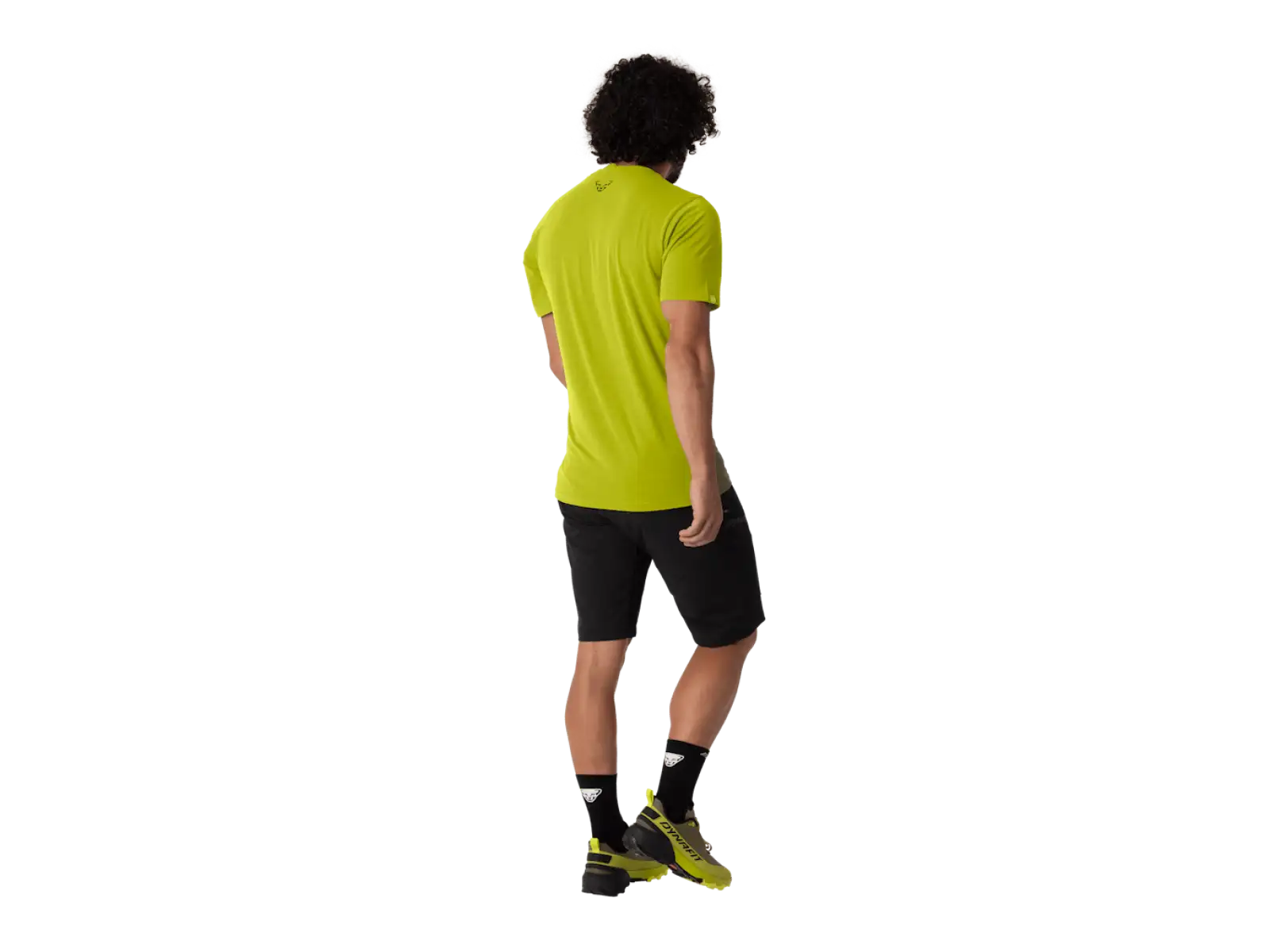 Dynafit Transalper Graphic Herren T-Shirt kurzer Ärmel Golden Lime