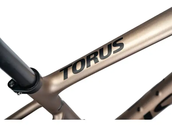 Isaac Torus Xplore GRX610/RX820 2x12 Gravelbike Blast Bronze