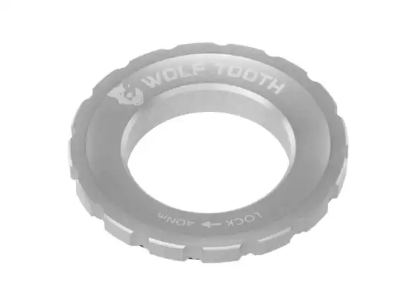 Wolf Tooth Mutter Centerlock Rotor raw silber
