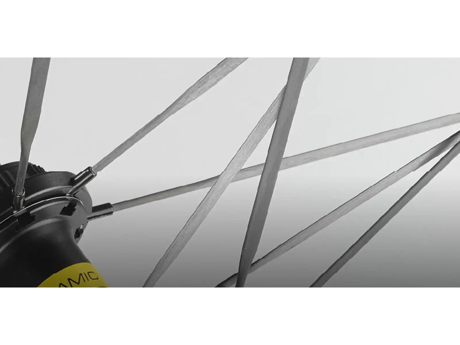 Mavic Comete 50 Disc CL Rennlaufräder Freilauf Shimano HG11