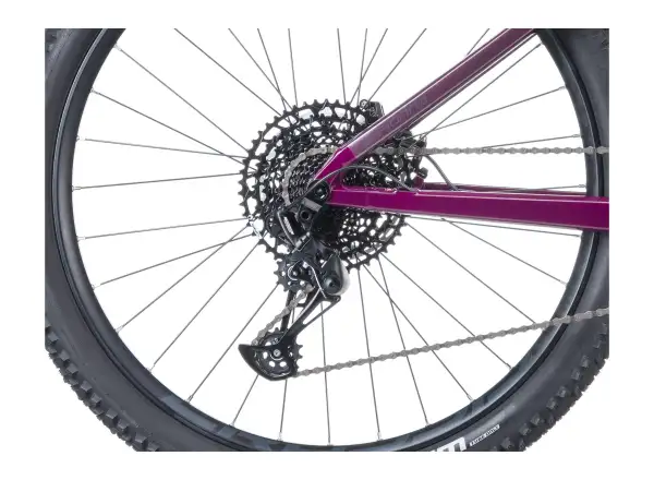 Crussis e-Fionna AX 9.12-M2S(800) Mountain E-Bike