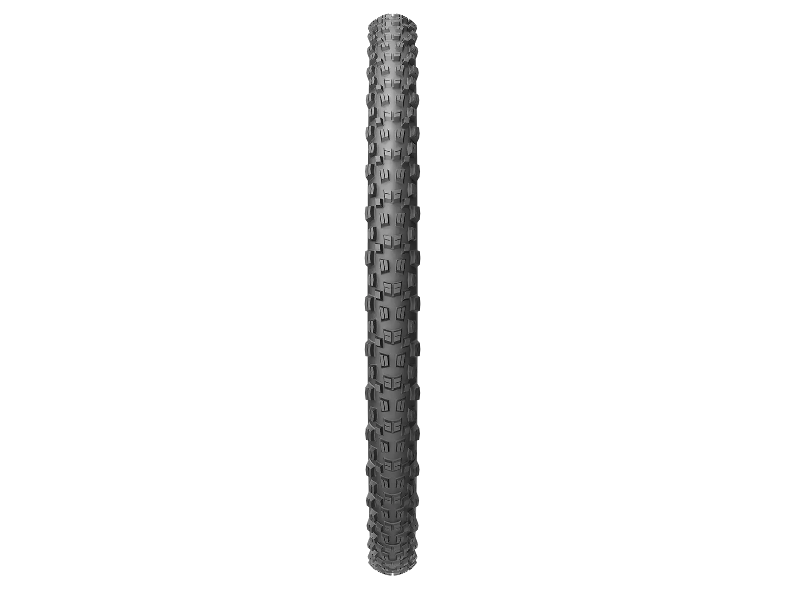 Pirelli Scorpion Enduro M Hardwall 29x2,60" Reifen mit Kevlar in Türkis