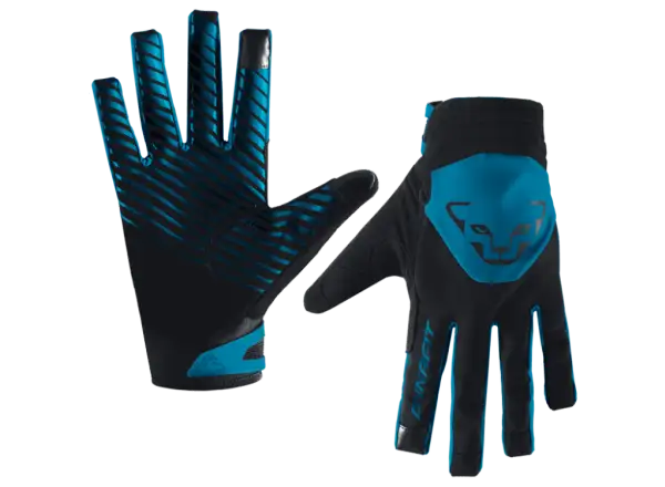 Dynafit Radical 2 Softshell Handschuhe Reef