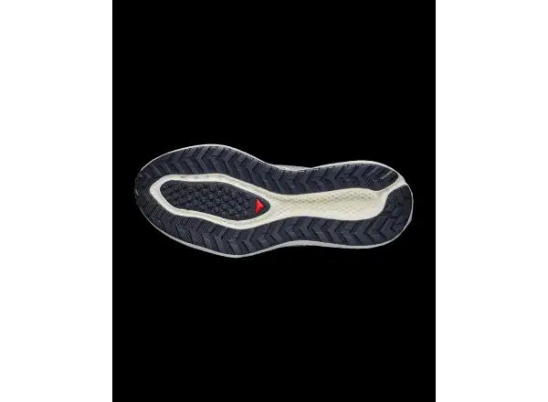 Salomon Aero Glide 4 GRVL Herren Laufschuhe Vanila/Black/Iron