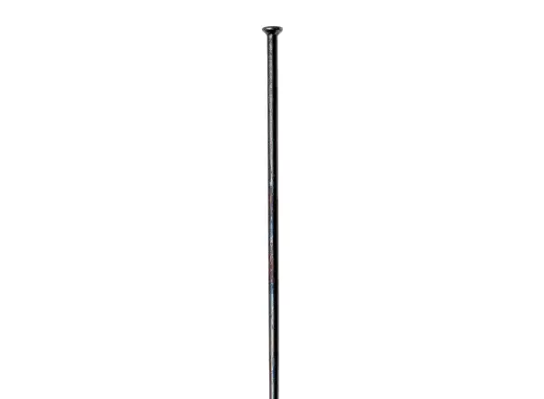 DT Swiss Competition Straight Pull Speiche 2,0/1,8/2,0 Schwarz