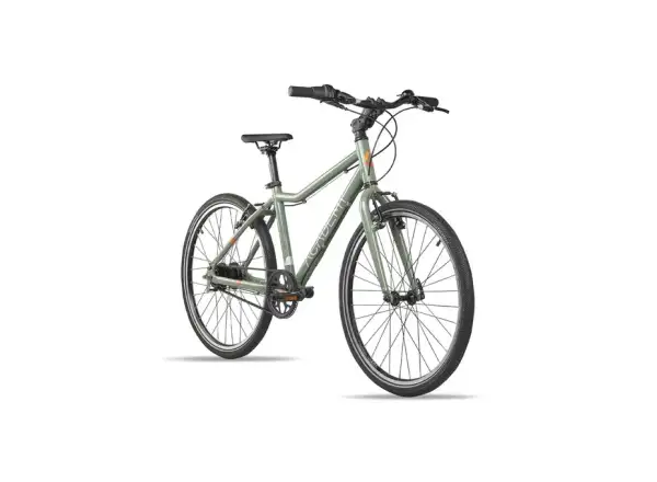 Academy Grade 5 Belt Kinderfahrrad 24" Olive
