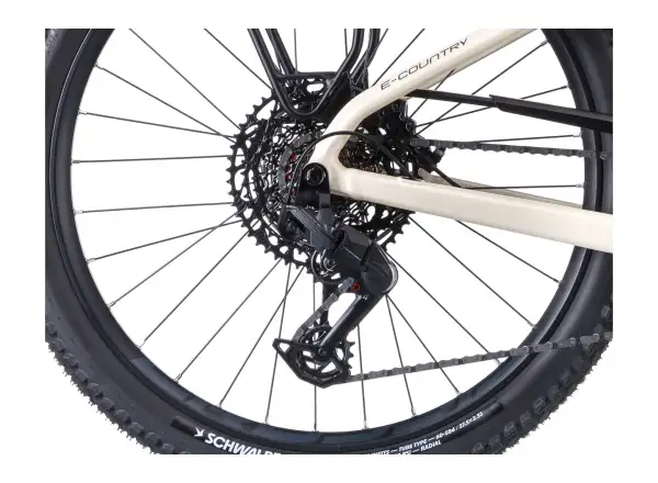 Crussis e-Country AX 10.12-M2(600) City E-Bike