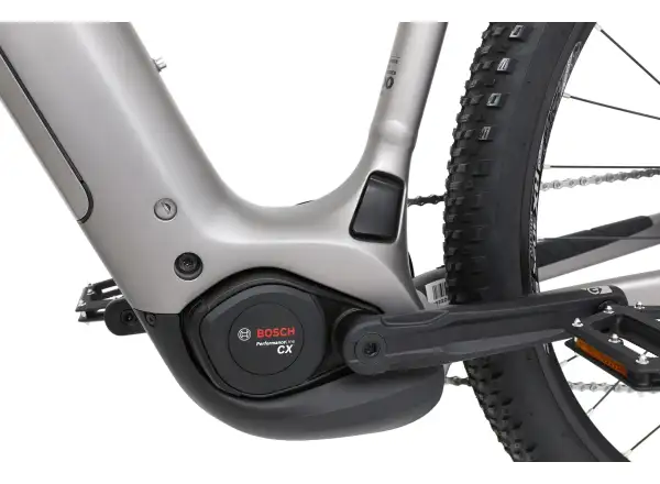 Apache Falcon 2 Bosch CX 800 Wh Mountain E-Bike grau