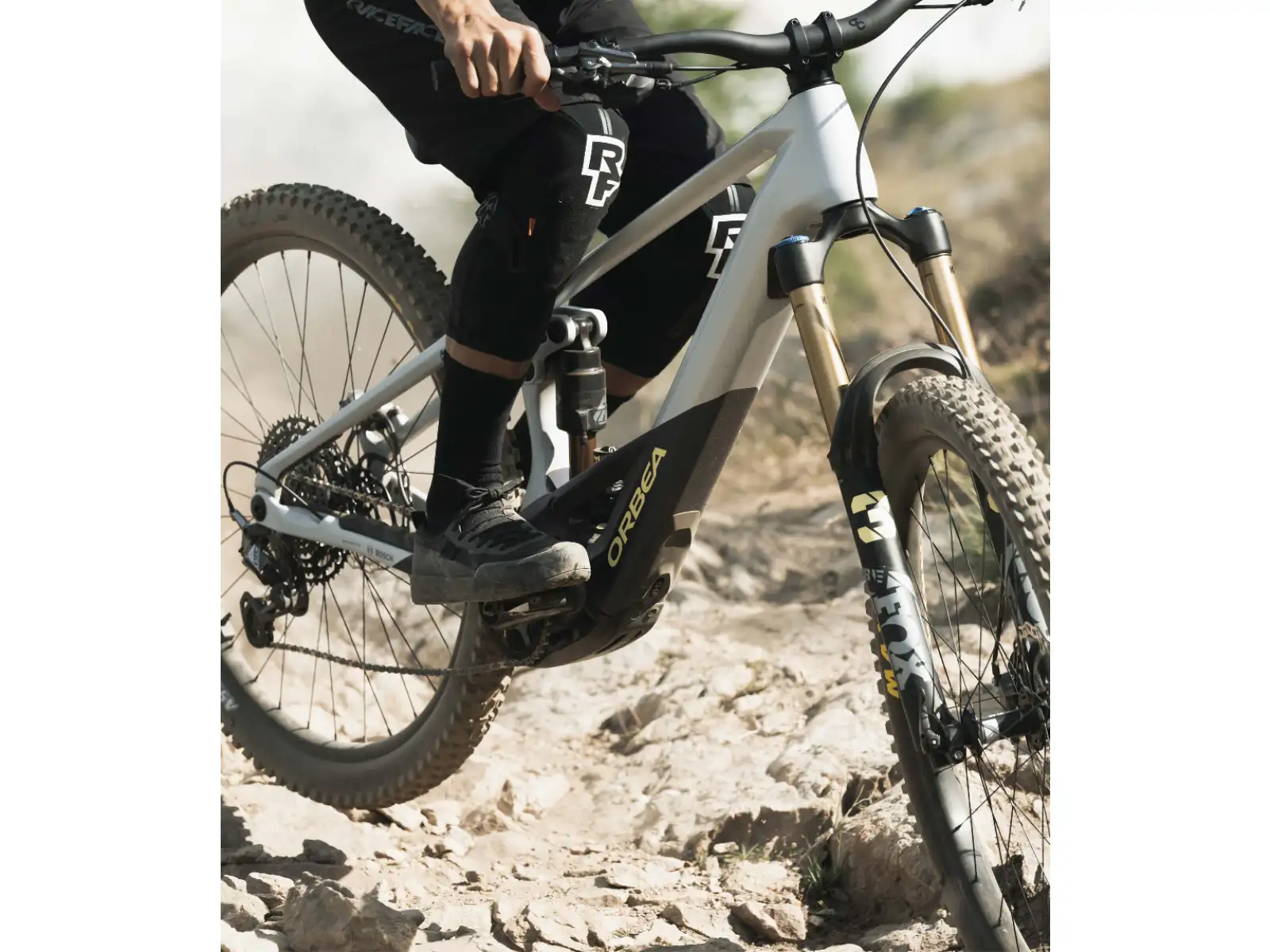 Orbea Wild M20 E-Mountainbike Halo Silver/Tanzanite Carbon.