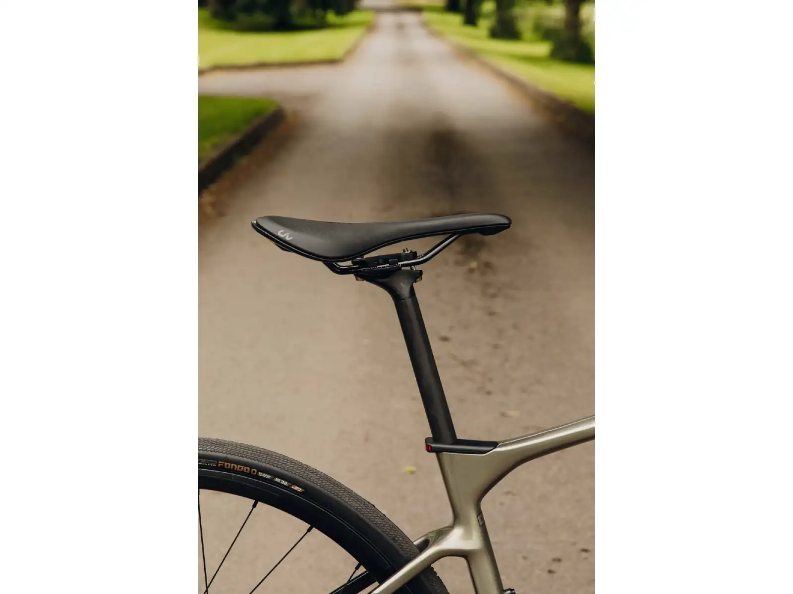 Liv Avail Advanced E+ Elite 2 Straßen E-Bike Golden Haze