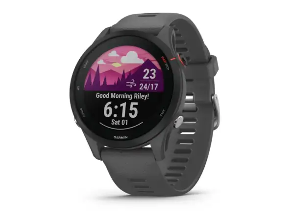 Garmin Forerunner 255 Smartwatch Slate Gray
