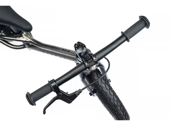Rascal Punk Kinder Laufrad Titanium