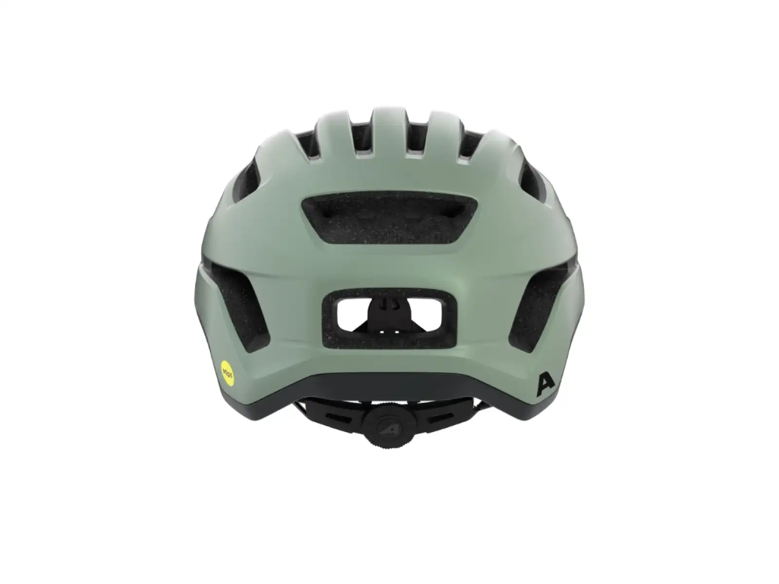Alpina Paranus Mips Helm Willow GreenMatt