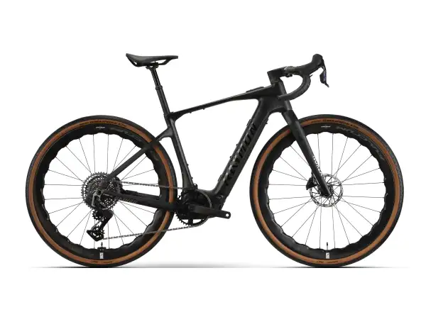 Raymon Norza Ultra carbon sparkle Gravel E-Bike ÜBERPRÜFT