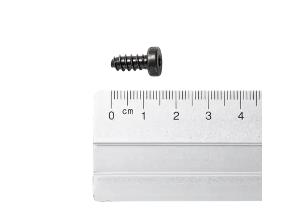 Dynafit Schraube F 6395 / 15,5 MM / TX 20 Schrauben für Dynafit-Bindungen Preis pro Stück