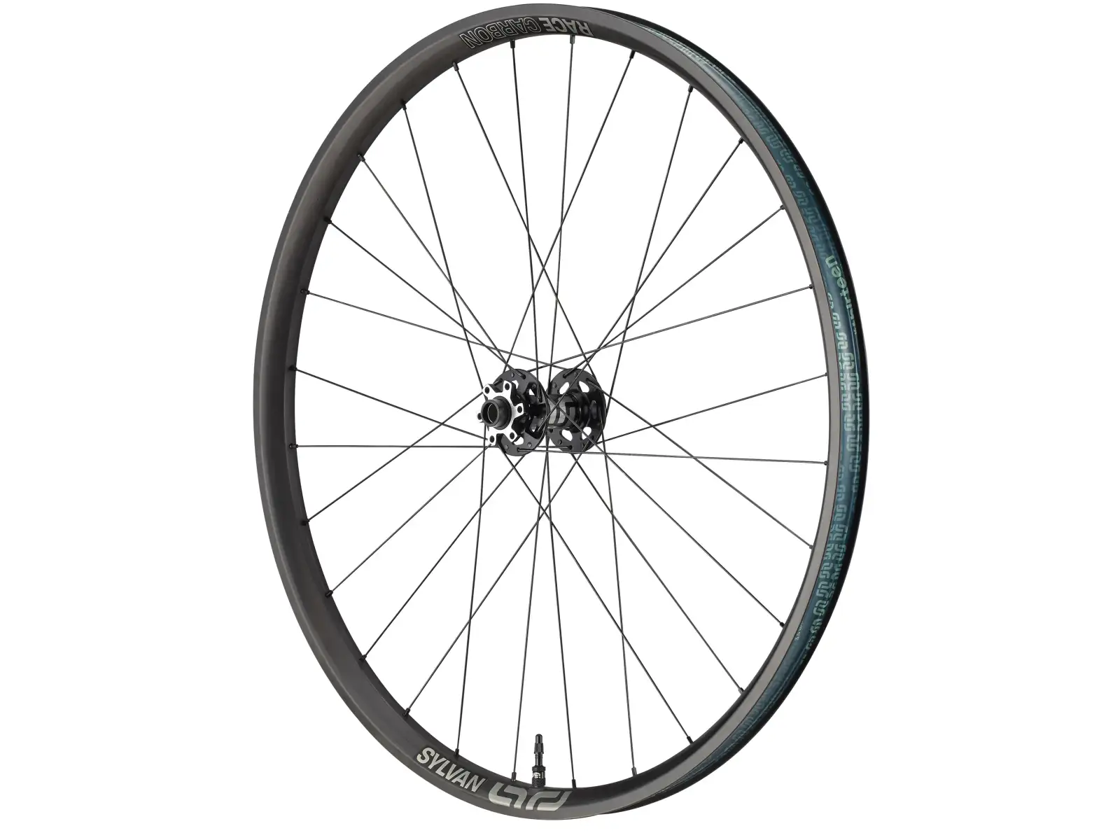 E-13 Sylvan Race Carbon E-Spec Boost 29" Vorderrad in Schwarz.