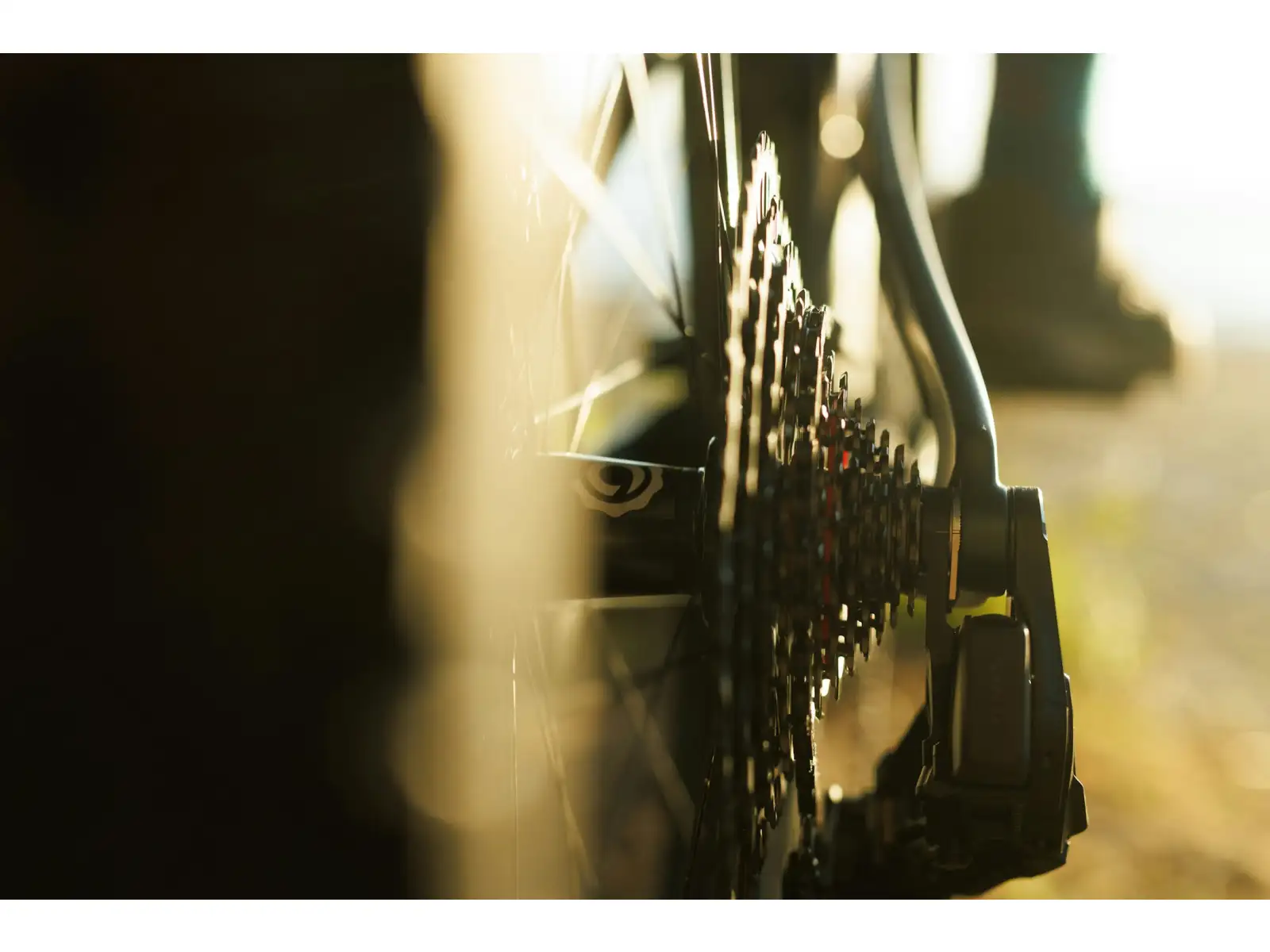 Ibis Ripley V5 XTR Di2 Mountainbike Green Flash