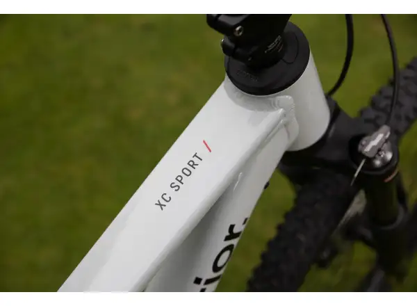 Superior XC 6.2 Mountainbike Gloss Grey/Petrol