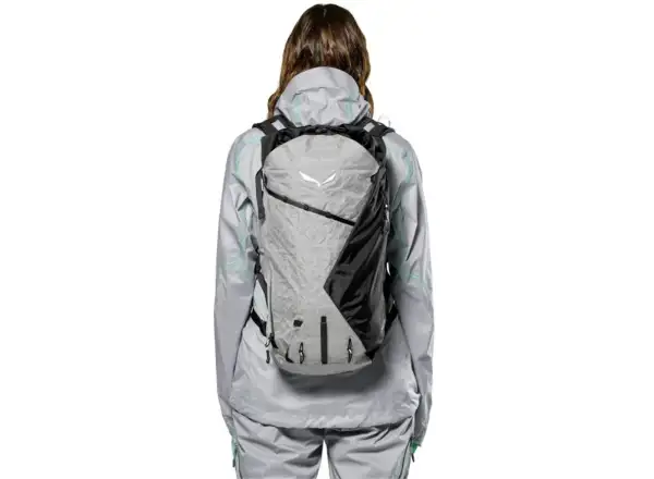 Salewa NXT 25 l Rucksack alloy/black