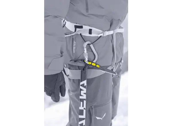 Salewa Alpine-X Eispickel 65 cm