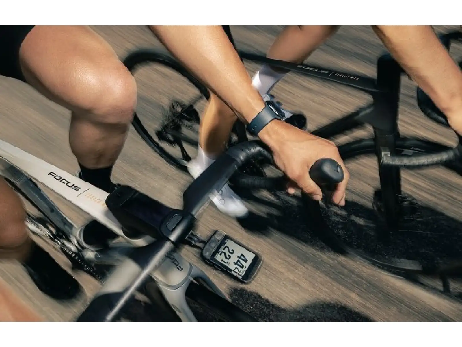 Focus IZALCO MAX 9.0 Rennrad Silber glänzend / Dunkel Silber glänzend