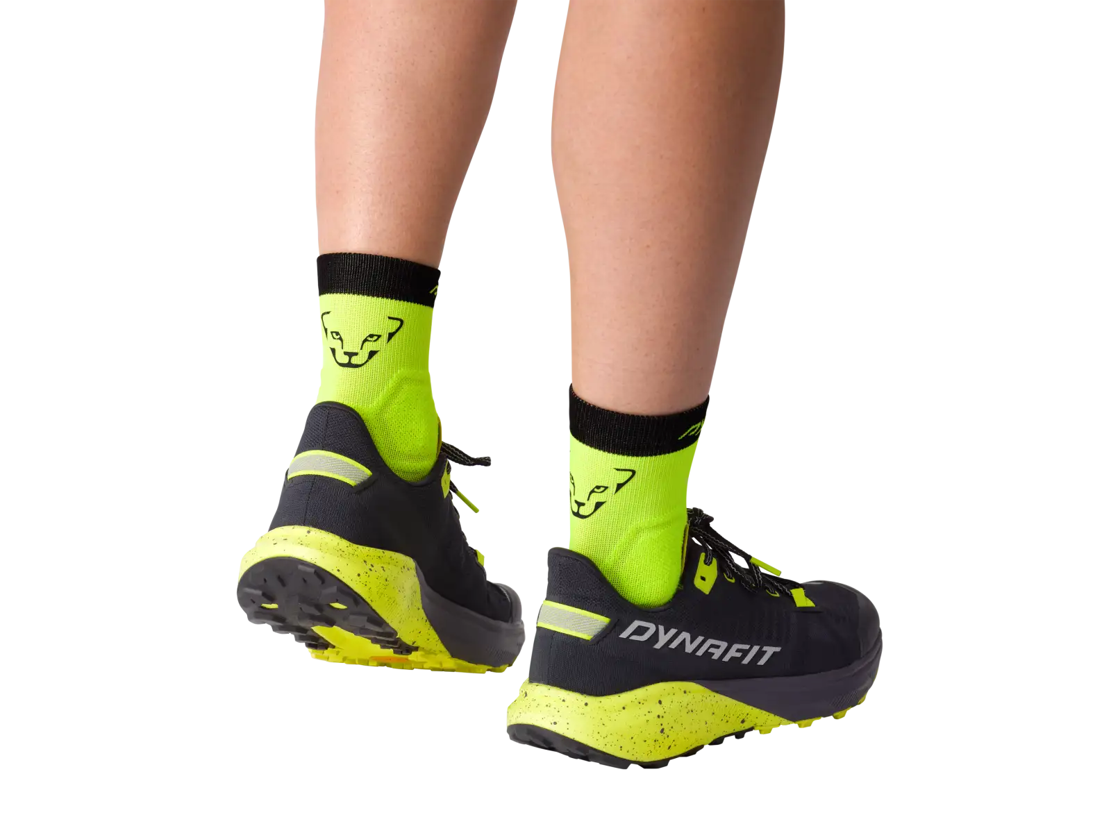 Dynafit ALPINE SHORT SK Skisocken pink glo.