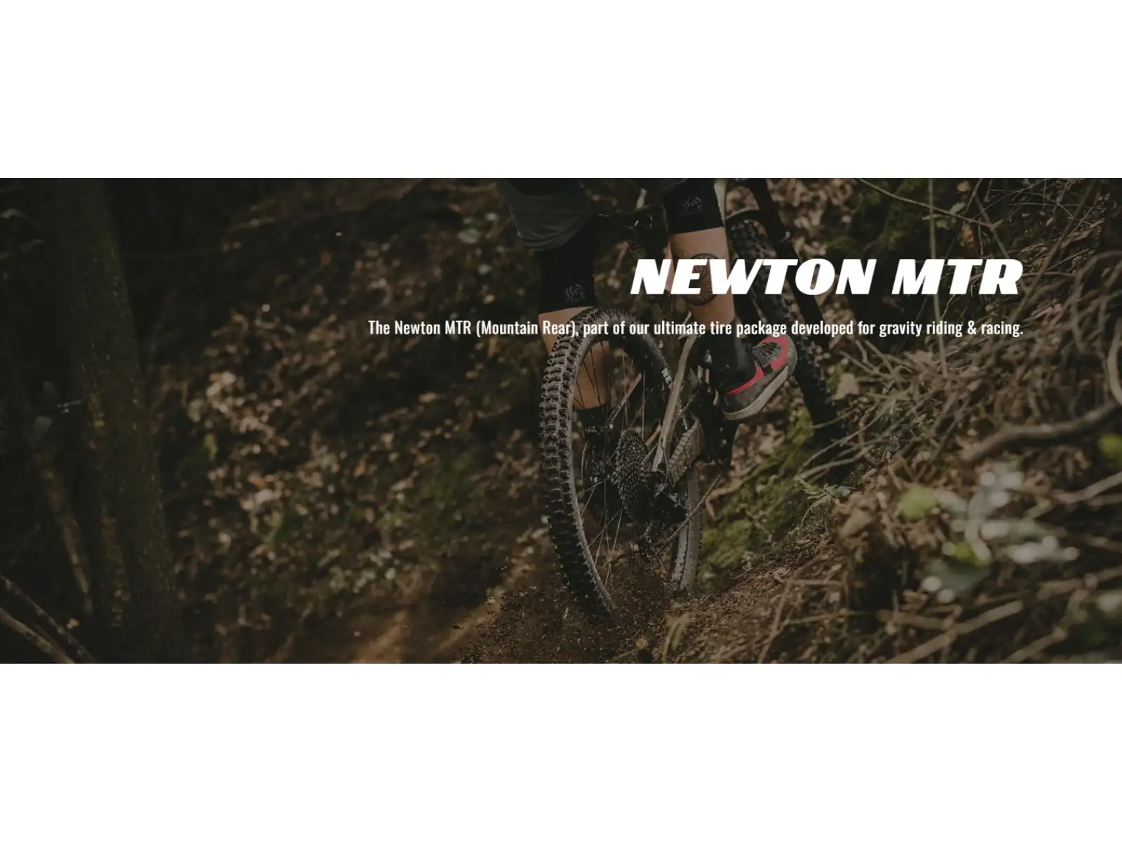 Goodyear Newton MTR Trail Tubeless Komplett 27,5x2,60" MTB Reifen Kevlar