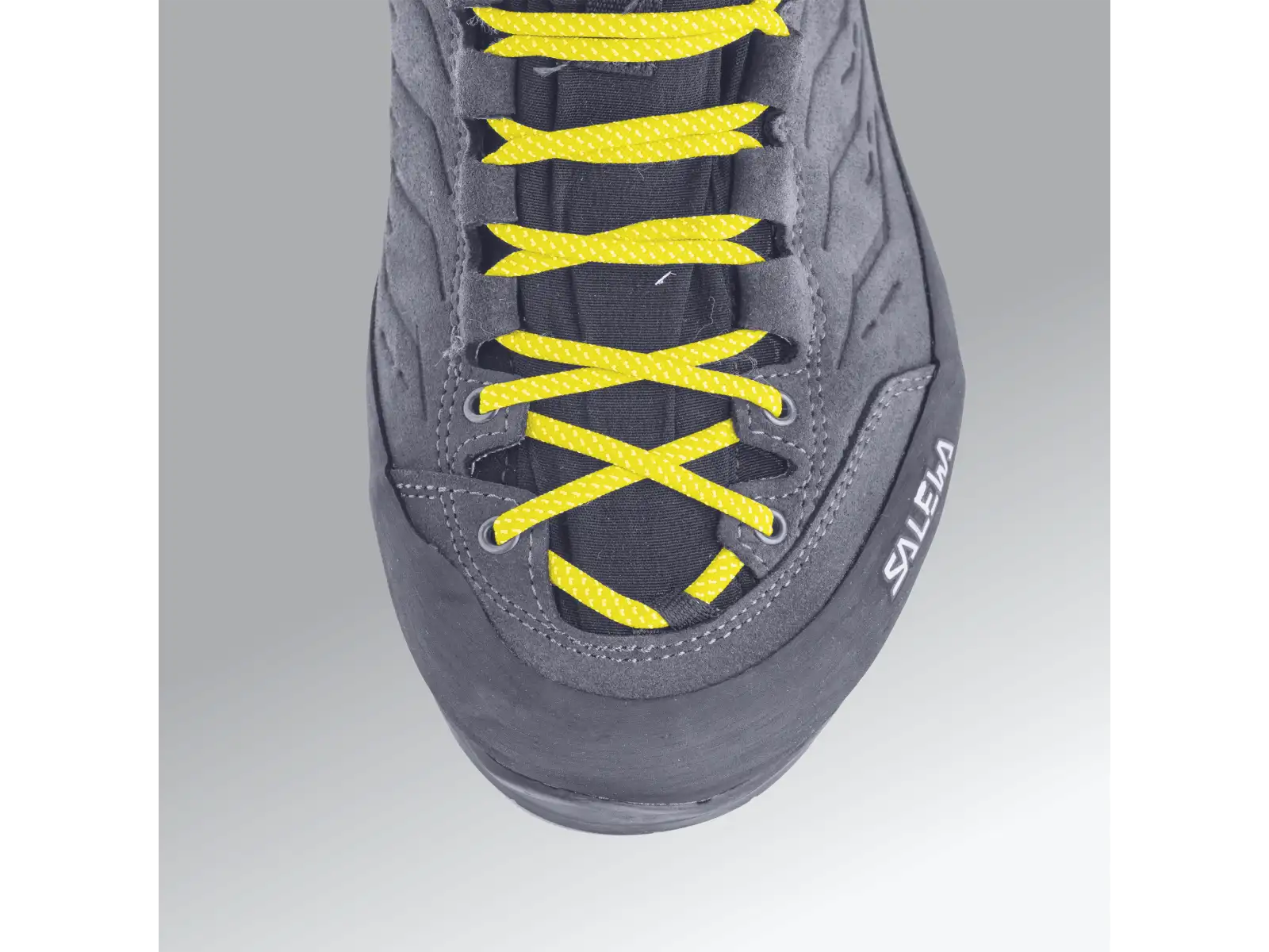 Salewa Alp Trainer 2 GTX Herrenschuhe Bungee Cord/Black