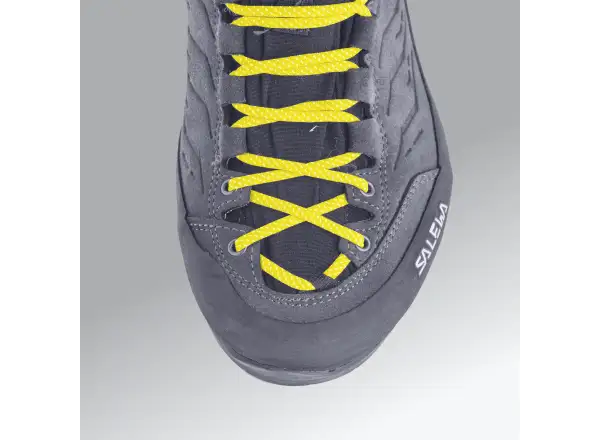 Salewa Alp Trainer 2 GTX Herrenschuhe Bungee Cord/Black