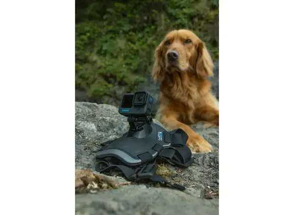 GoPro Hundegeschirr