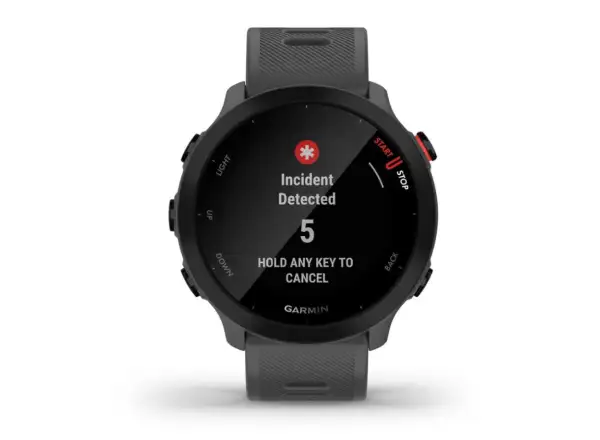 Garmin Forerunner 55 Smartwatch Grau