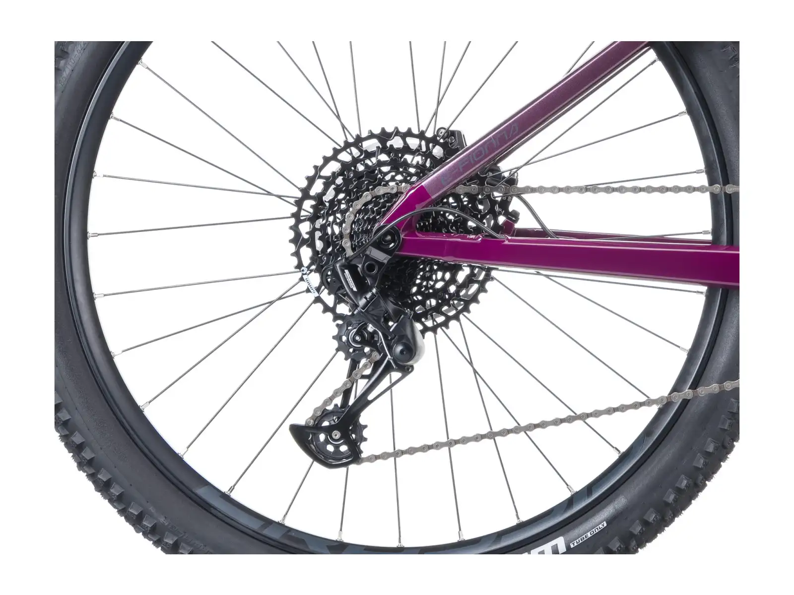 Crussis e-Fionna AX 9.12-M2(600) Mountain-E-Bike