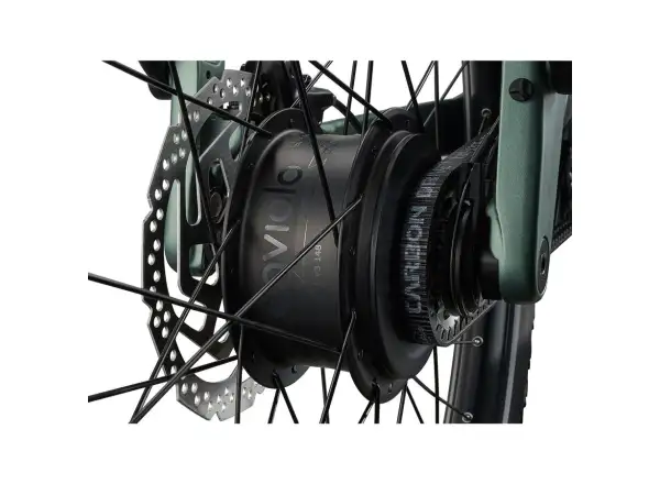 Giant Explore E+ 2 DD Trekking-E-Bike Alpine Green