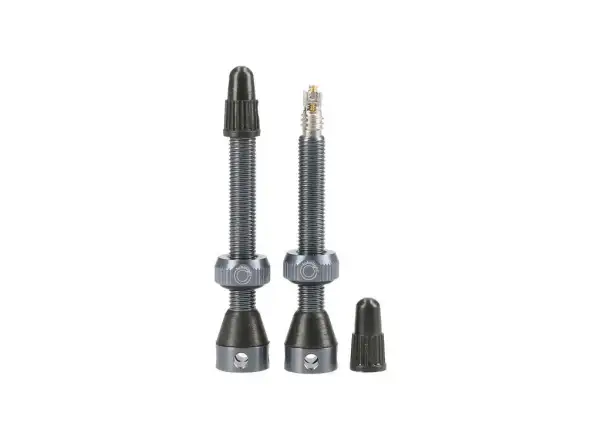Tubolight Tubeless Ventile 50 mm Grau - Paar