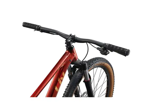 Giant Tempt 29 2 Mountainbike Mars Dust