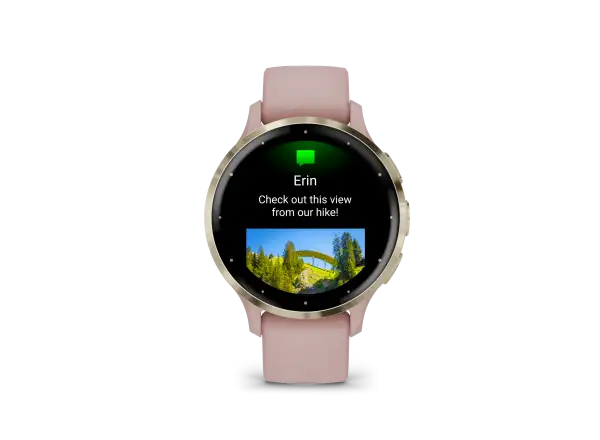 Garmin Venu 3S Smartwatch Soft Gold/Dust Rose