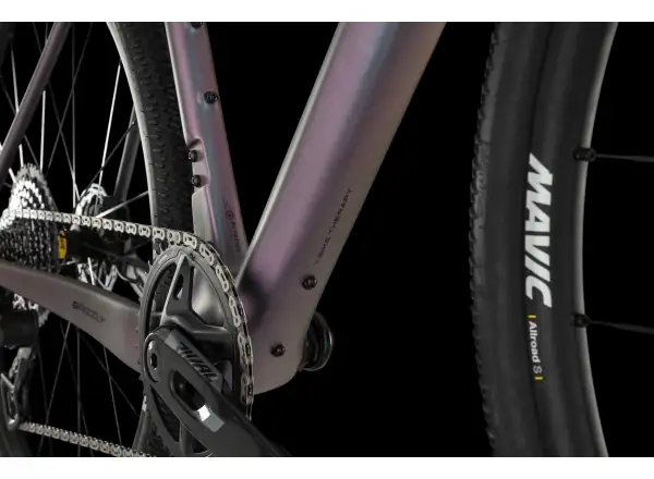 4Ever Grizzly AXS Gravelbike Titan Rainbow