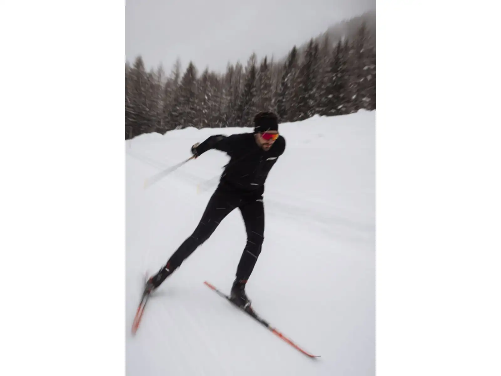 Leki PRC 850 TR Langlaufstöcke Naturalcarbon-regal blue light-white