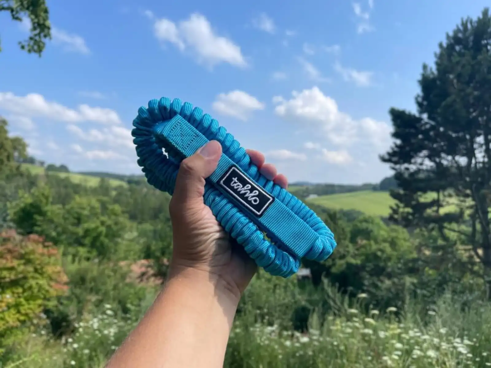 Zugseil Schlingelhaft Blau