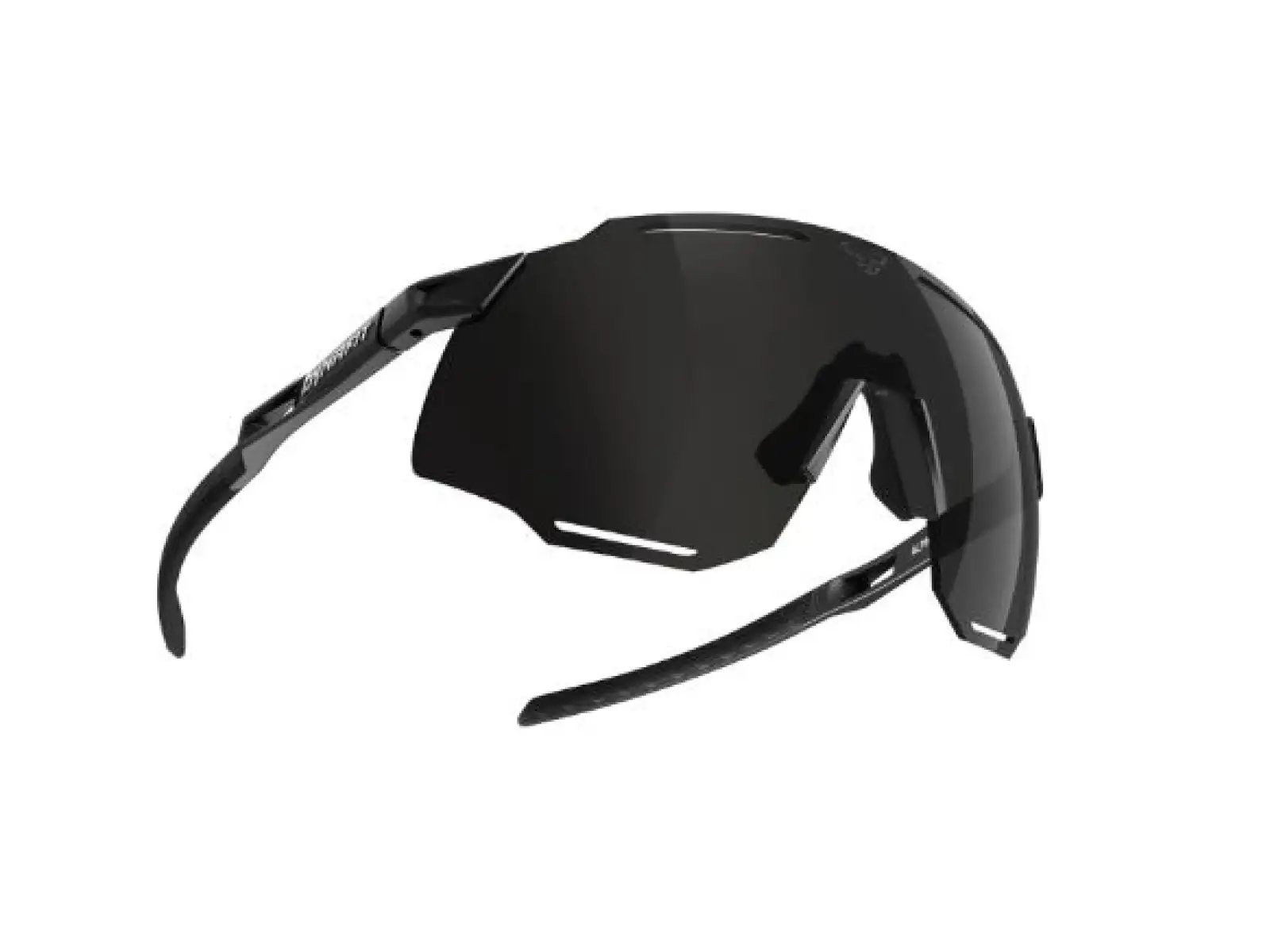Dynafit Alpinbrille Black Out/Nimbus