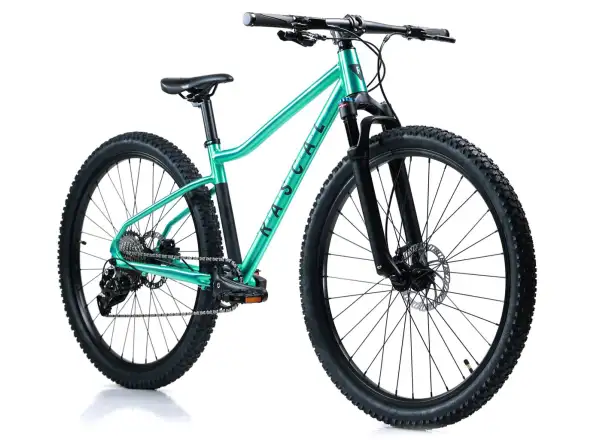 Rascal Wild 29 Kinderfahrrad Smaragd