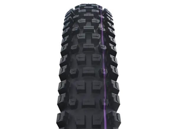 Schwalbe Albert GRAVITY PRO TLR E-50 Addix Ultra Soft Radial 29x2,60" MTB Reifen Kevlar schwarz