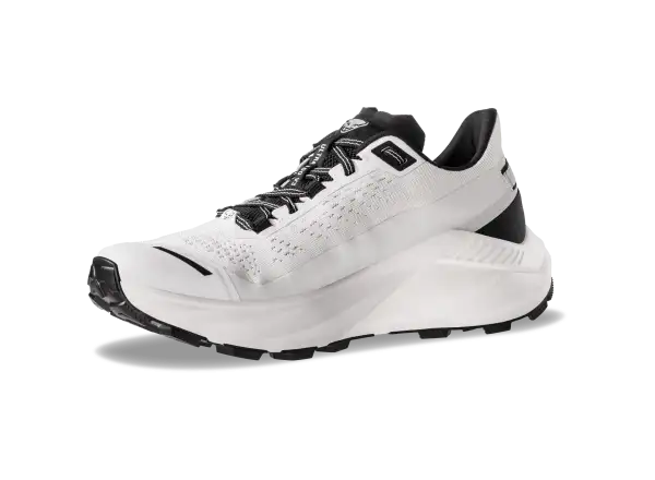 Dynafit Ultra 100 V3 Herren Laufschuhe Nimbus Black Out