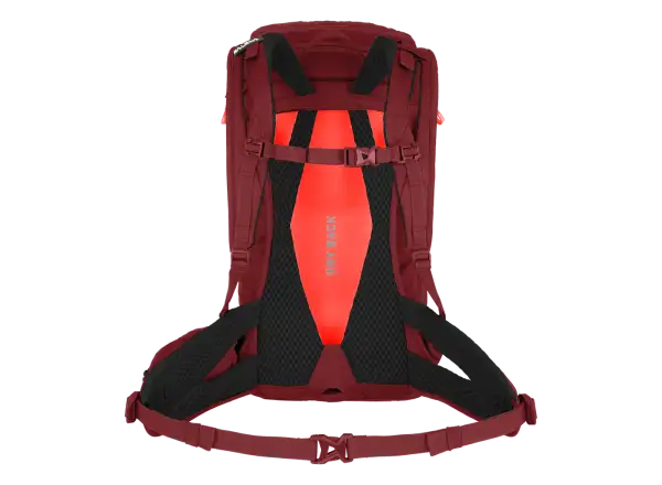 Salewa Alp Trainer Damenrucksack 20l Syrah